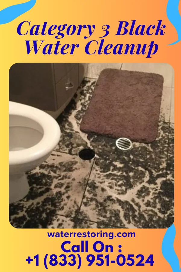 Category 3 Black Water Cleanup in Union City, MI
