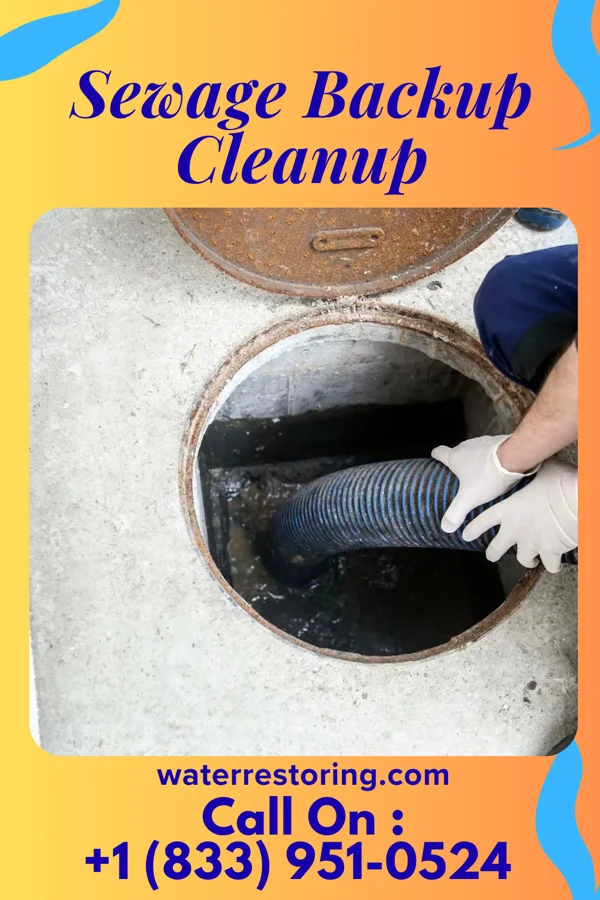 Sewage Backup Cleanup in Union City, MI
